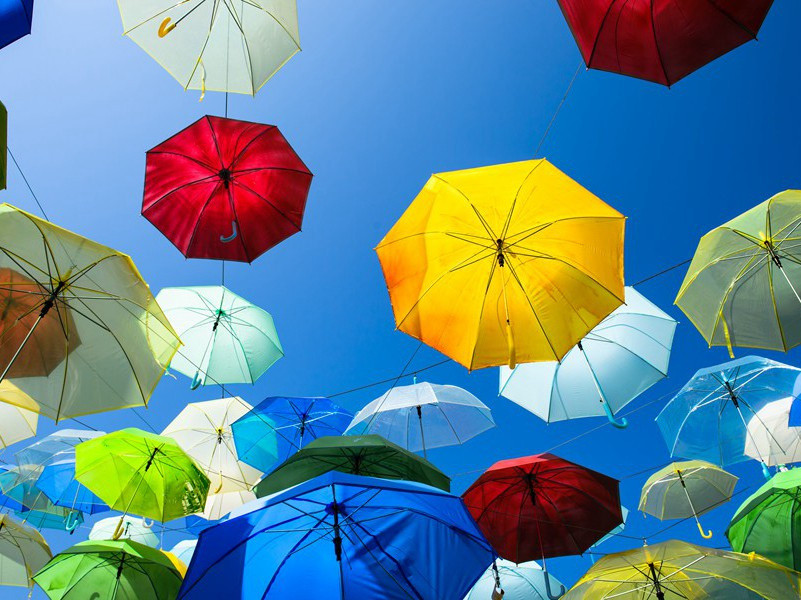 次韵苏公西湖徙鱼三首·其二原文注释译文赏析-陈师道诗词-宋诗全集