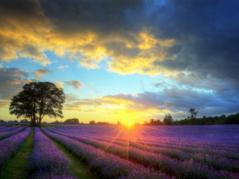 赋跛鼈先生赵万宗二首·其一原文注释译文赏析-傅崧卿诗词-宋诗全集