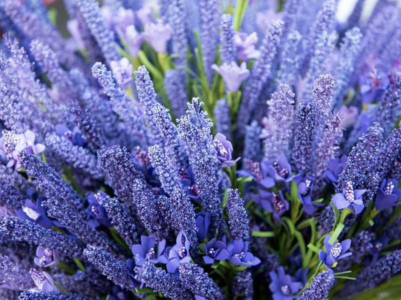 守轩原文注释译文赏析-韩淲诗词-宋诗全集