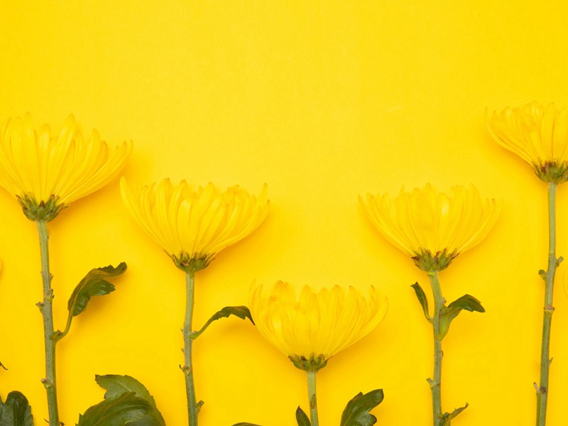 真珠泉原文注释译文赏析-董嗣杲诗词-宋诗全集