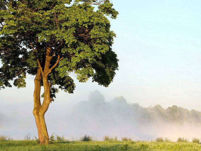 秋阴原文注释译文赏析-晁说之诗词-宋诗全集