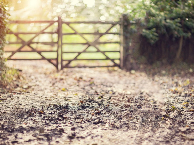 上塘值清明八首·其一原文注释译文赏析-曹勋诗词-宋诗全集