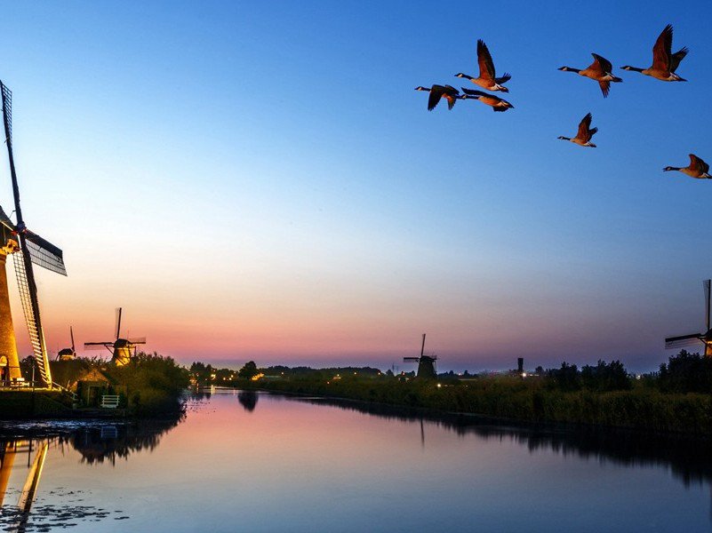 题杉溪驿二首·其二原文注释译文赏析-蔡襄诗词-宋诗全集