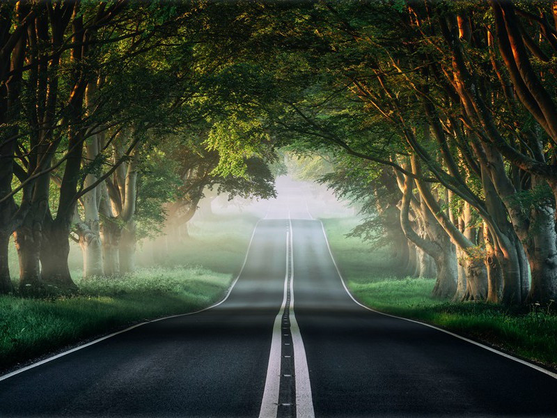 湖居杂兴八首·其四原文注释译文赏析-白珽诗词-宋诗全集