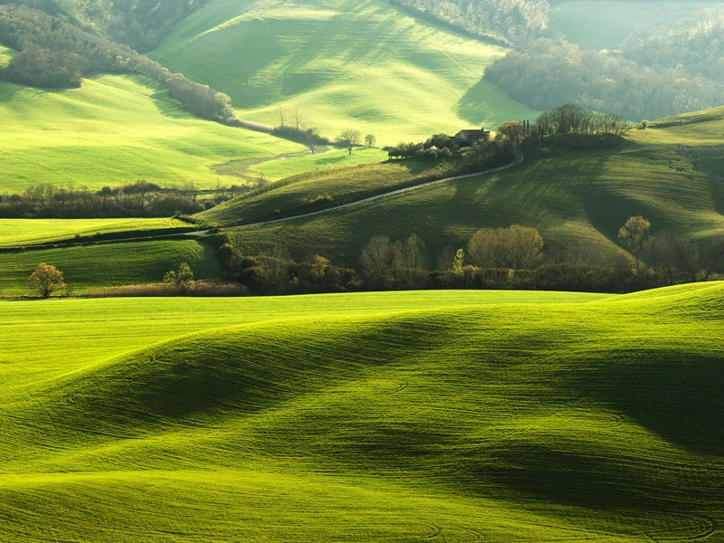 薄薄酒二章·其一原文注释译文赏析-黄庭坚诗词-宋诗全集