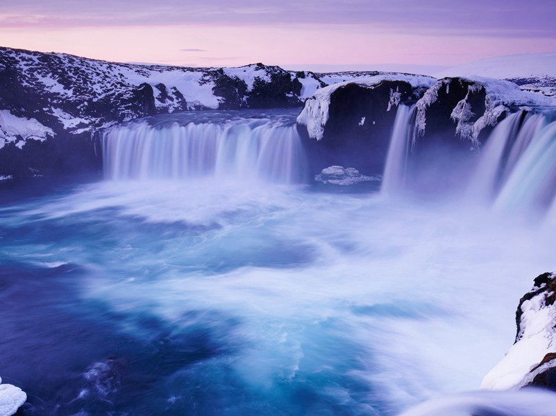 咏鹭原文注释译文赏析-陈着诗词-宋诗全集