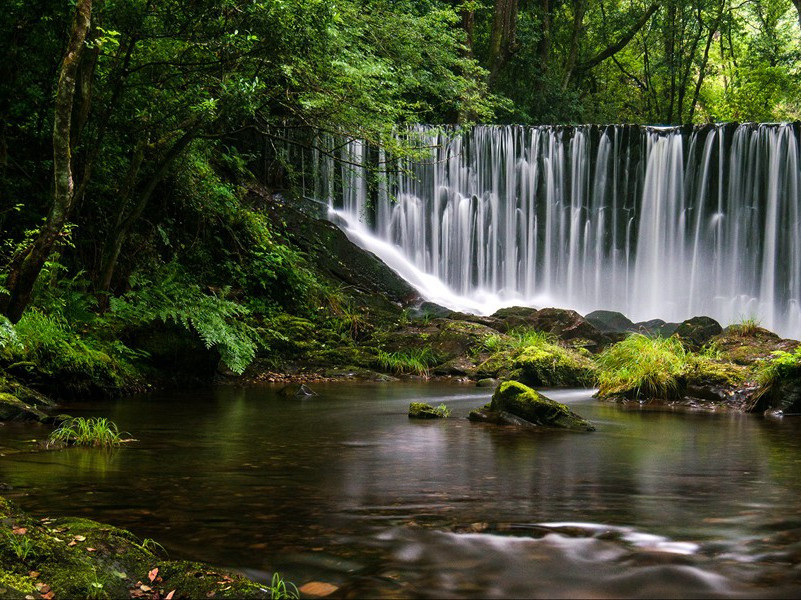 秋风引原文注释译文赏析-曹勋诗词-宋诗全集
