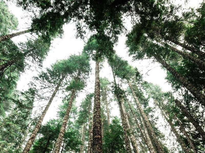 次晖书记韵原文注释译文赏析-李彭诗词-宋诗全集