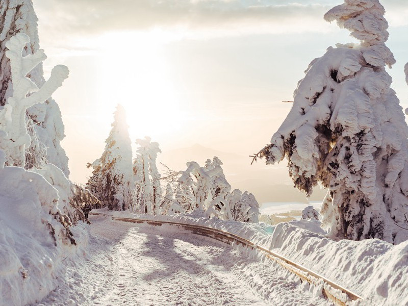 零陵寄三弟五弟二首·其二原文注释译文赏析-范纯仁诗词-宋诗全集