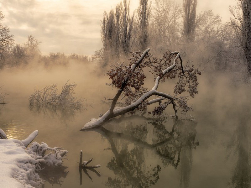 游{若/山}山寺原文注释译文赏析-常令孙诗词-宋诗全集