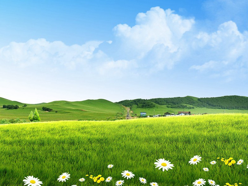 简寂观原文注释译文赏析-李纲诗词-宋诗全集