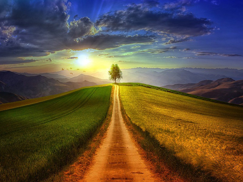 病中怀邓觉非原文注释译文赏析-顾逢诗词-宋诗全集