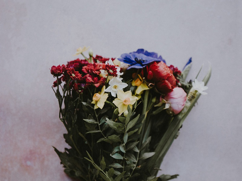 艾轩老先生文集刊传上以揄扬其问学下则得佛家以法布施之意前后数君子有是志而不果今日薄西山幸一见此喜成古风三篇以贺后来之有作者且述下悰云·其三原文注释译文赏析-陈藻诗词-宋诗全集