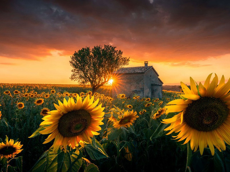 不寐原文注释译文赏析-范成大诗词-宋诗全集