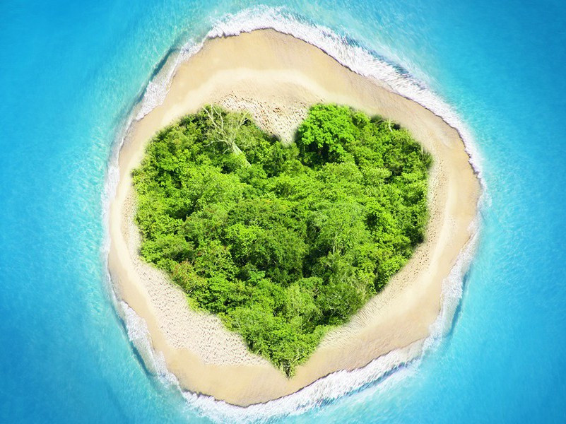 宁宗郊前朝献景灵宫二十四首·饮福酒用《报安》。原文注释译文赏析-郊庙朝会歌辞诗词-宋诗全集