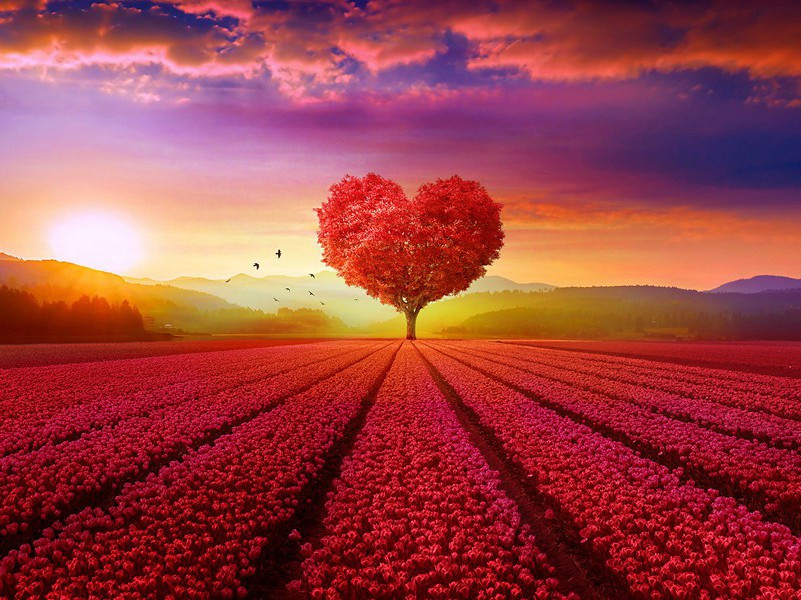 宝佑二年皇子冠二十首·其一六原文注释译文赏析-郊庙朝会歌辞诗词-宋诗全集