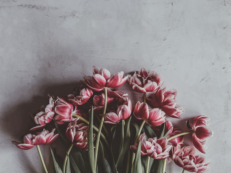 再依韵复足五十六字以见一时无聊之态非诗也原文注释译文赏析-杜范诗词-宋诗全集