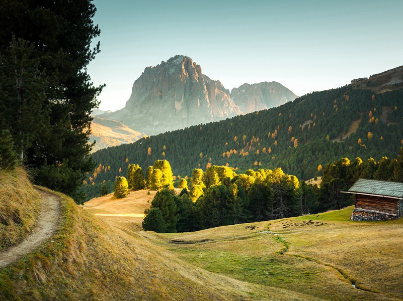 送熊博士赴瑞安令原文注释译文赏析-陈与义诗词-宋诗全集