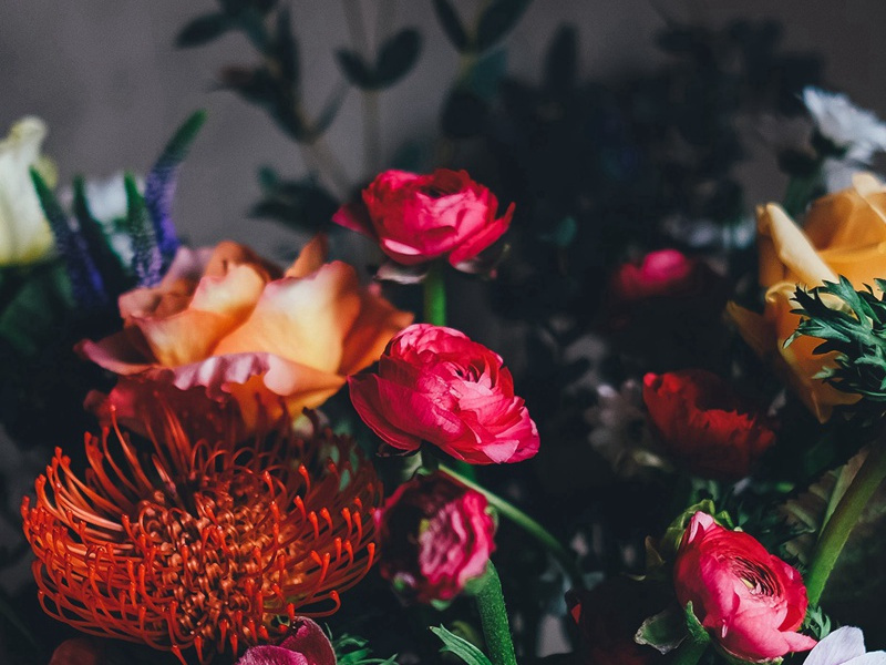 赠阴阳家童国用原文注释译文赏析-曾丰诗词-宋诗全集