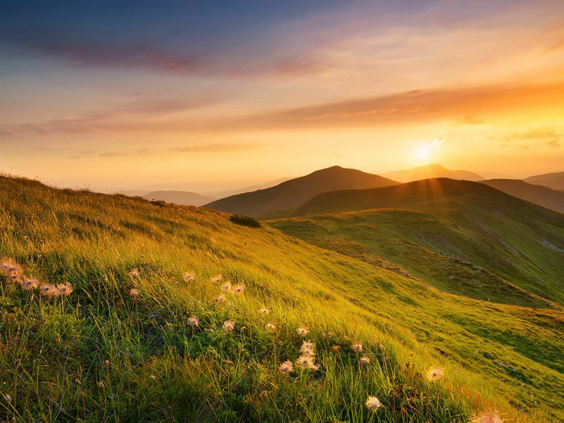 刘有诗再次韵四首·其一原文注释译文赏析-陈造诗词-宋诗全集