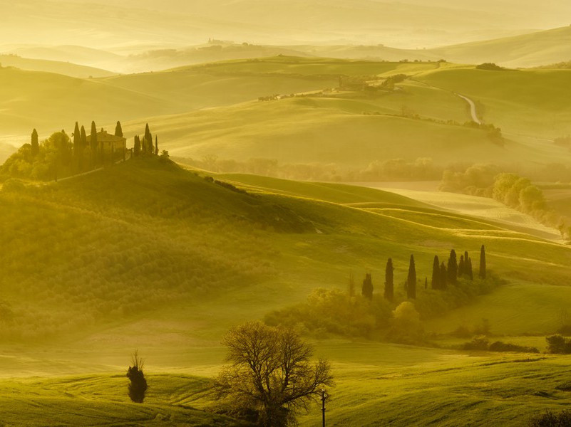 九日访张子直承出看花戏书学舍五首·其四原文注释译文赏析-程颢诗词-宋诗全集