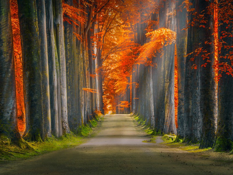 酬李唐臣赠山水短轴原文注释译文赏析-晁补之诗词-宋诗全集