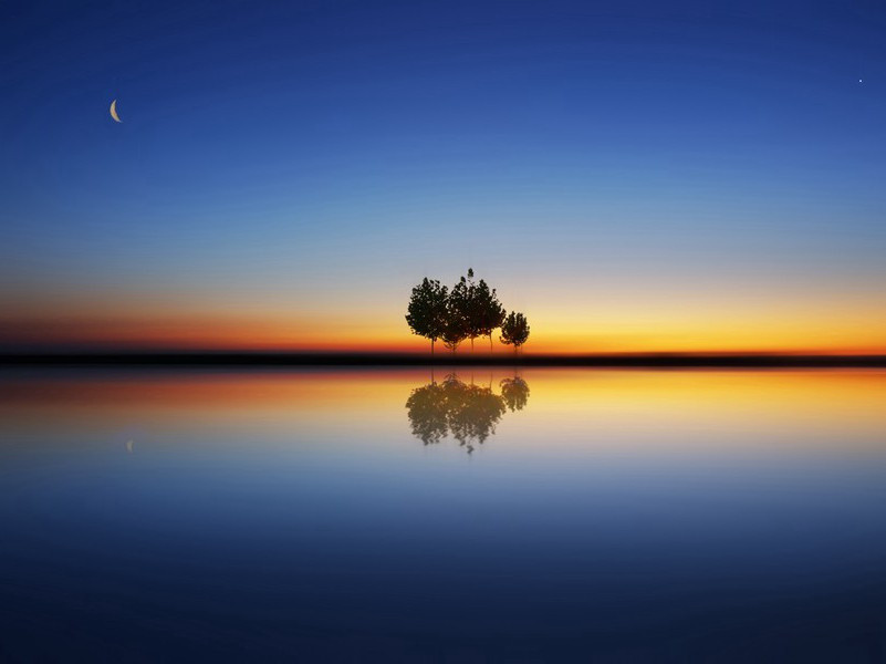 梅花·其二原文注释译文赏析-仇远诗词-宋诗全集