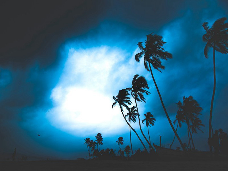 和张达道先生三首·其二原文注释译文赏析-曹勋诗词-宋诗全集