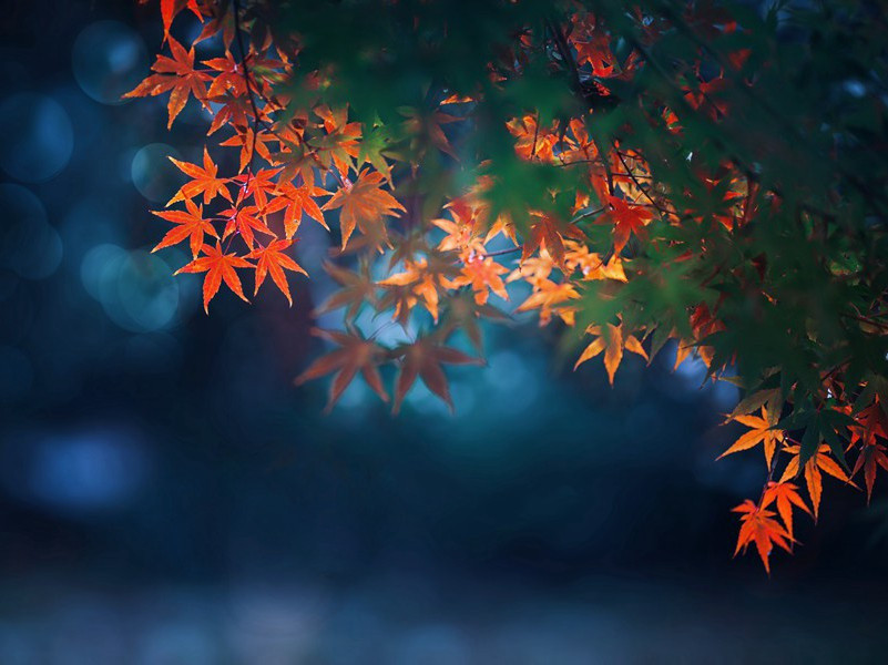 谢陈昌国惠酒二首·其一原文注释译文赏析-郭祥正诗词-宋诗全集