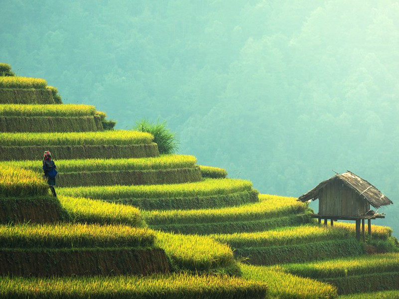 自芜湖江行至采石·其一原文注释译文赏析-李纲诗词-宋诗全集