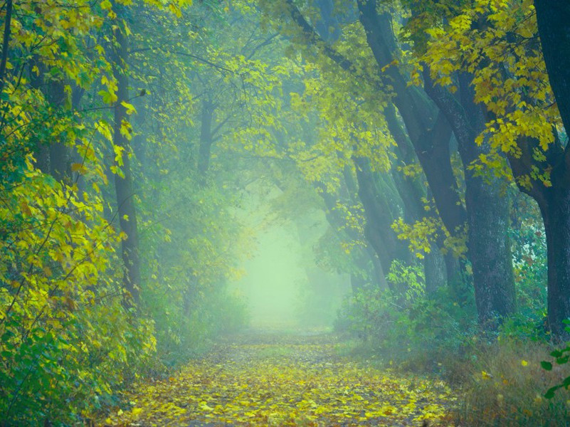 题大风山原文注释译文赏析-陈朝老诗词-宋诗全集