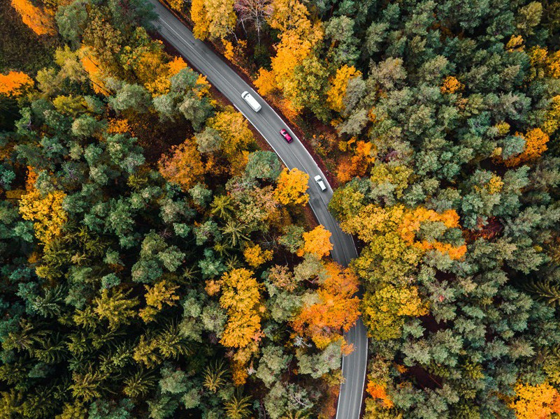 题玉泉画像次来轴韵原文注释译文赏析-陈起诗词-宋诗全集