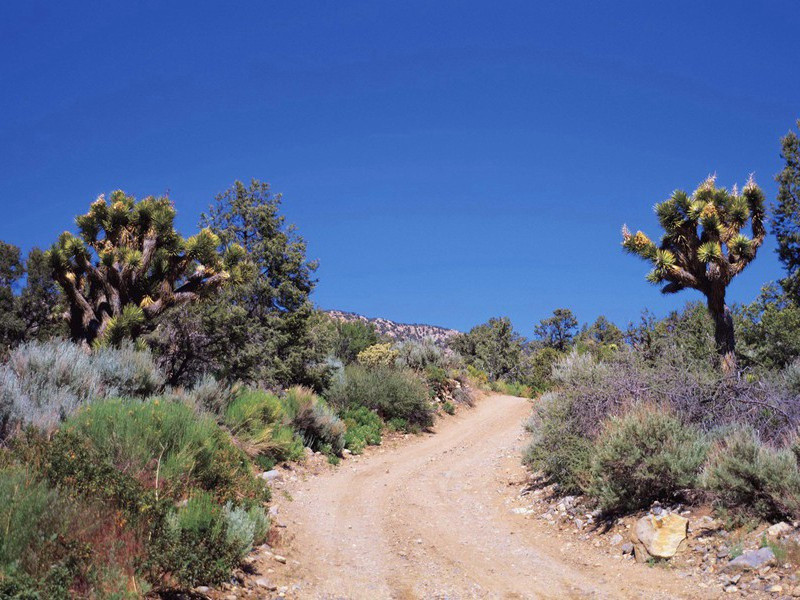 醉中示梅山弟二首·其一原文注释译文赏析-陈着诗词-宋诗全集