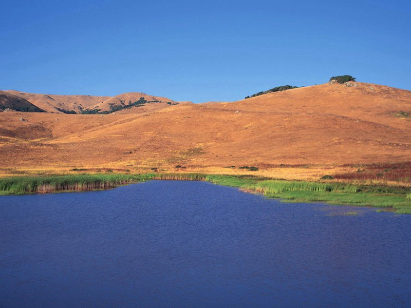 初荣·其五原文注释译文赏析-曾丰诗词-宋诗全集