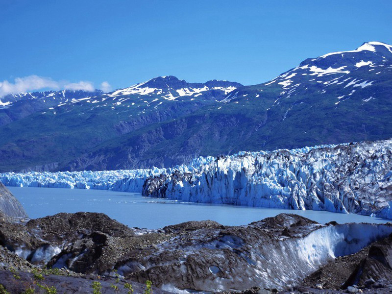 献韩平原生日原文注释译文赏析-开禧朝士诗词-宋诗全集