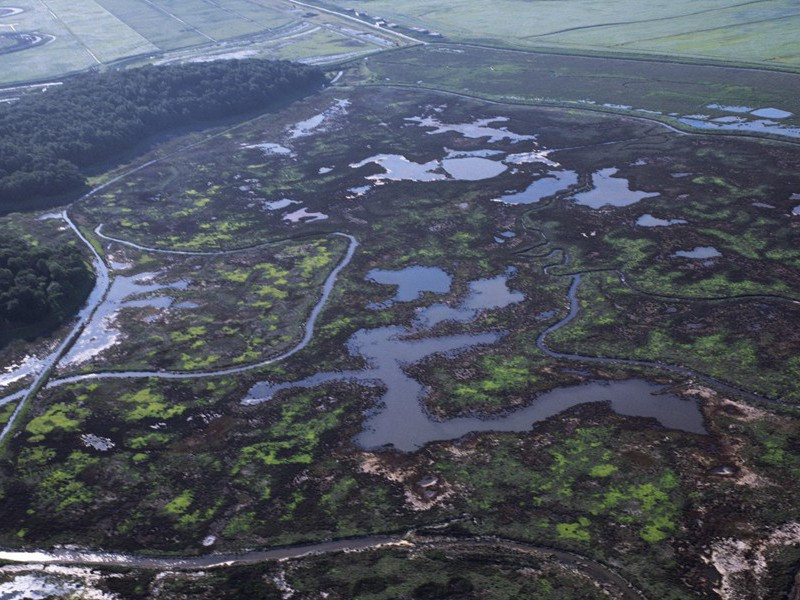 和刘会之野堂韵原文注释译文赏析-杜范诗词-宋诗全集