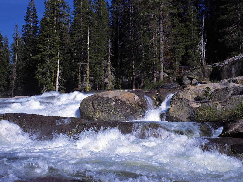 雨再作政妨海棠原文注释译文赏析-范成大诗词-宋诗全集