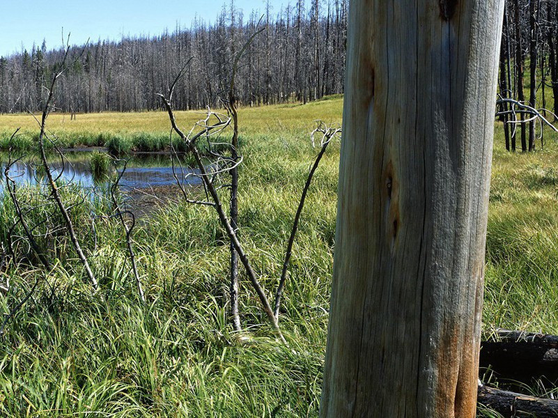 金国贺会庆节使人到阙集英殿宴致语口号原文注释译文赏析-崔敦诗诗词-宋诗全集