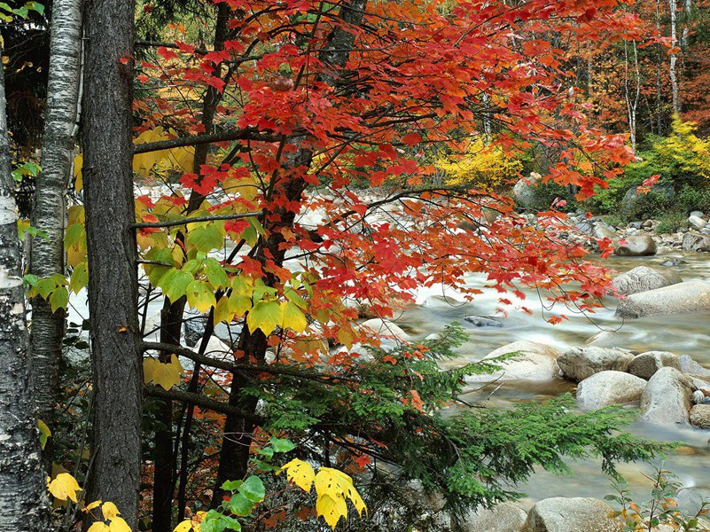 和郑国器六首·其四原文注释译文赏析-曹勋诗词-宋诗全集