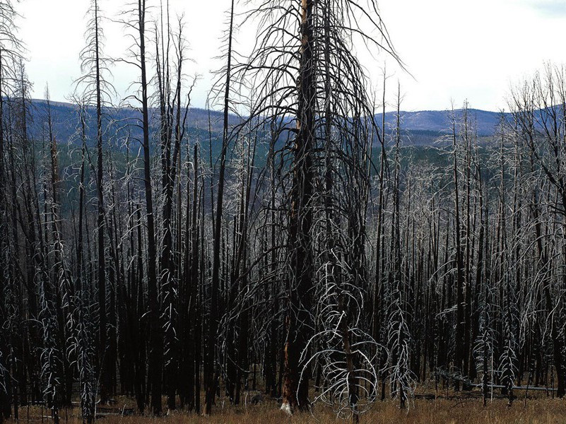 挽知临安府兼浙西制置使曾公·其一原文注释译文赏析-曾子良诗词-宋诗全集