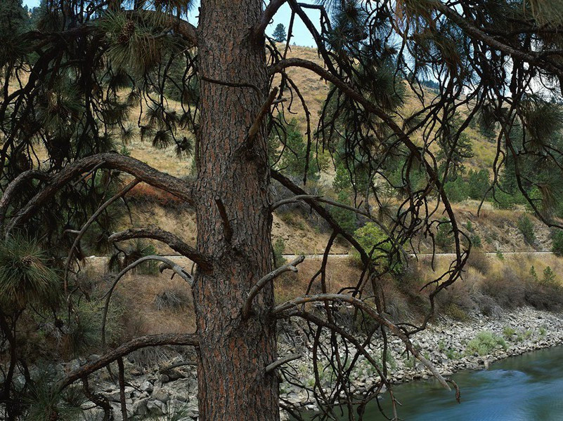 六月十七夜待月原文注释译文赏析-陈文蔚诗词-宋诗全集