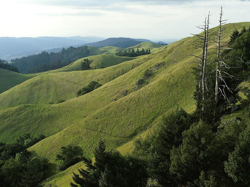 续南有樛木·其三原文注释译文赏析-曾丰诗词-宋诗全集