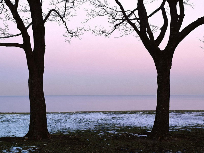 次韵感春五首·其三原文注释译文赏析-黄庭坚诗词-宋诗全集