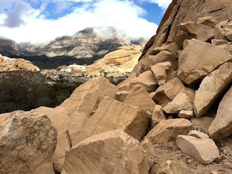 领客游闻人氏省庵园原文注释译文赏析-陈必复诗词-宋诗全集