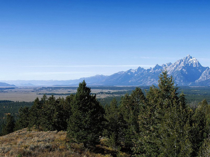 展江亭海棠四首·其四原文注释译文赏析-韩维诗词-宋诗全集