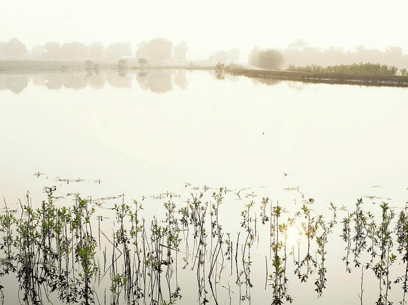 次太白水西韵原文注释译文赏析-陈柄诗词-宋诗全集