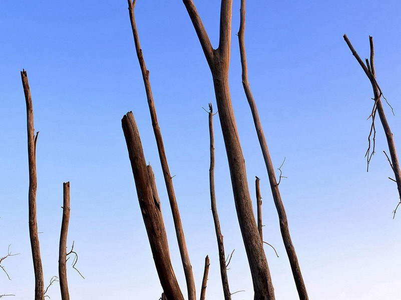 代人上平江徐侍郎五首·其五原文注释译文赏析-曾协诗词-宋诗全集