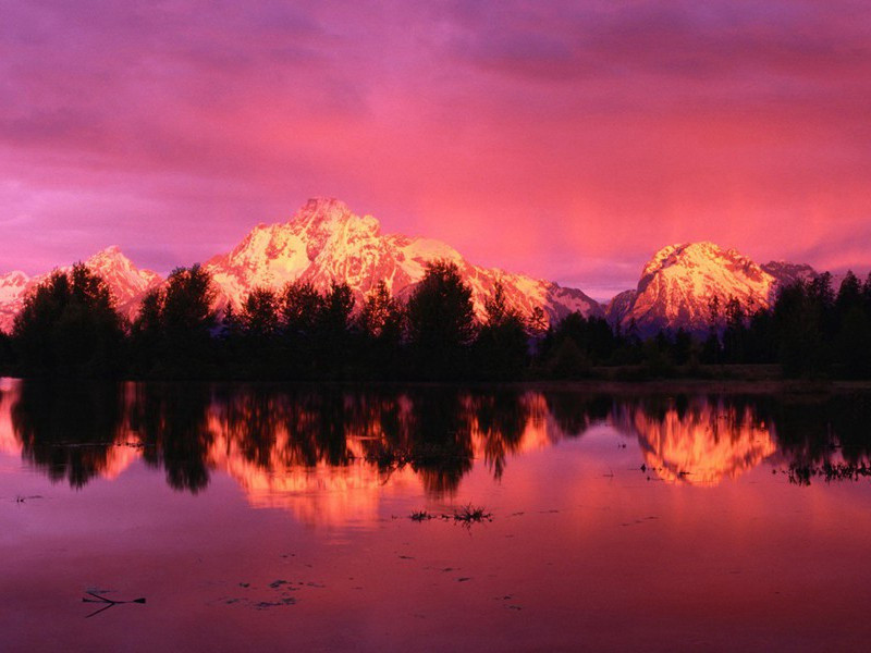 州宅堂前荷花原文注释译文赏析-范成大诗词-宋诗全集