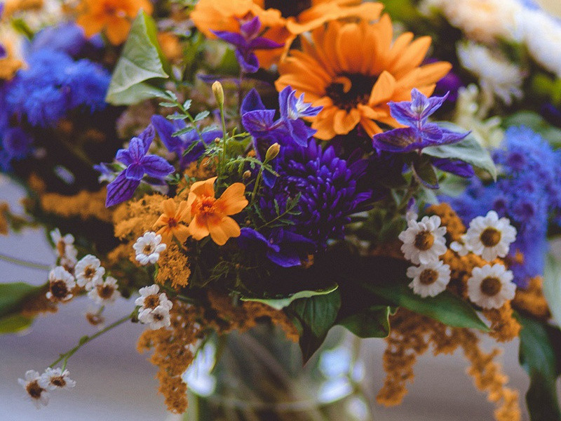 饮百花洲四首·其一原文注释译文赏析-黎廷瑞诗词-宋诗全集