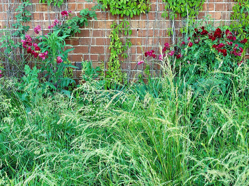 上清储祥宫原文注释译文赏析-蒋之奇诗词-宋诗全集